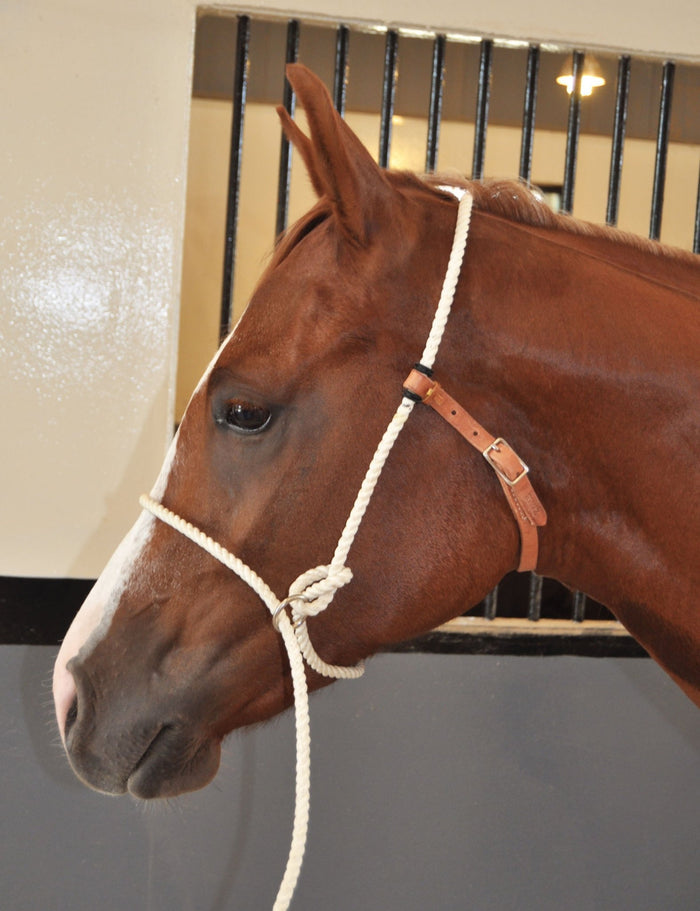Training Halter - SCBT2 - 4