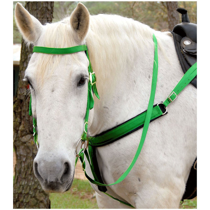Triple E Nylon Draft Horse Bridle with Bit & Reins - T3NF - Black - 2