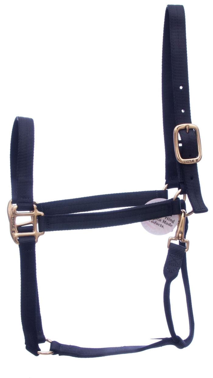 DUPLICATE - T3LA - Triple E Nylon Draft Horse Halter, Large (2000 - 2400 lb) - T3LE-DUPE - Turquoise - 6