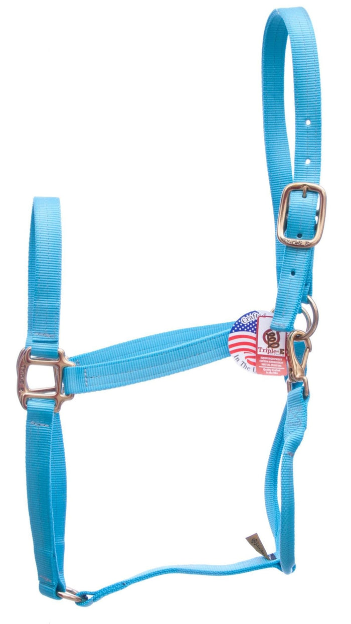 DUPLICATE - T3LA - Triple E Nylon Draft Horse Halter, Large (2000 - 2400 lb) - T3LE-DUPE - Turquoise - 5