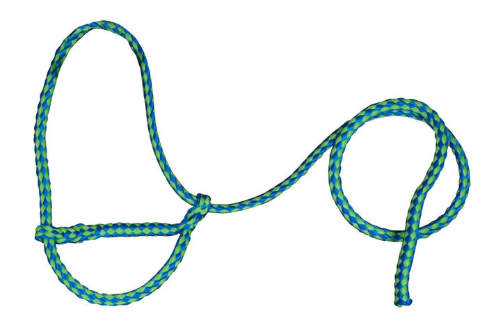 Troyer's Braided Poly Sheep Halter - TYPK - Lime/Blue - 1