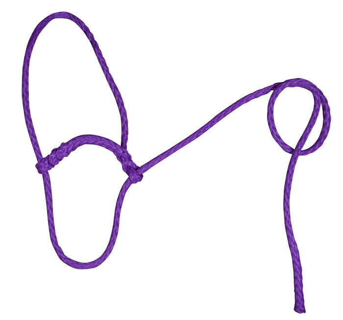 Troyer's Braided Poly Sheep Halter - TYPM - Purple - 3