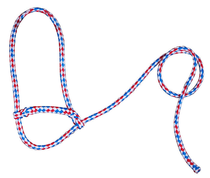 Troyer's Braided Poly Sheep Halter - TYPO - Red/White/Blue - 5