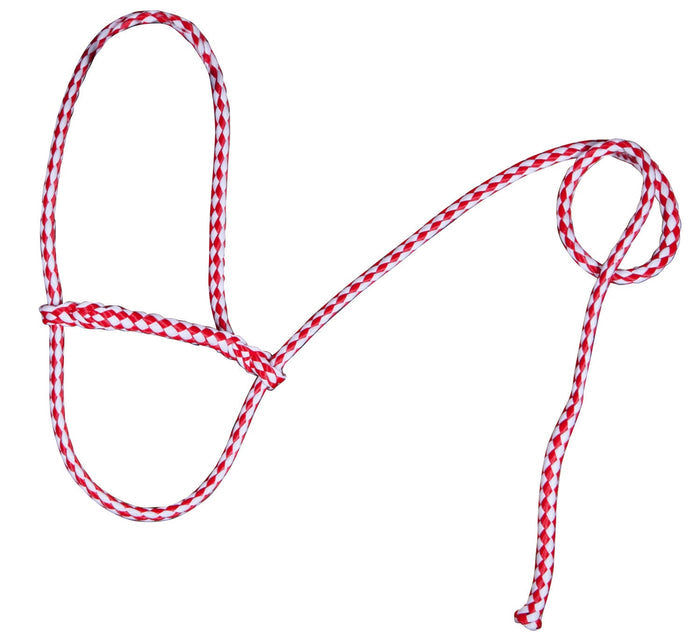 Troyer's Braided Poly Sheep Halter - TYPO - Red/White/Blue - 7