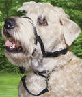 Walk 'n Train Head Halter - C2K1 - Size 2 - 1