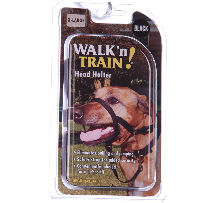 Walk 'n Train Head Halter - C2K3 - Size 4 - 14