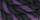 Weaver Colored Cotton Lead Ropes with Solid Brass Bolt Snap, 10' L - WEAVI - Purple/Black - 8