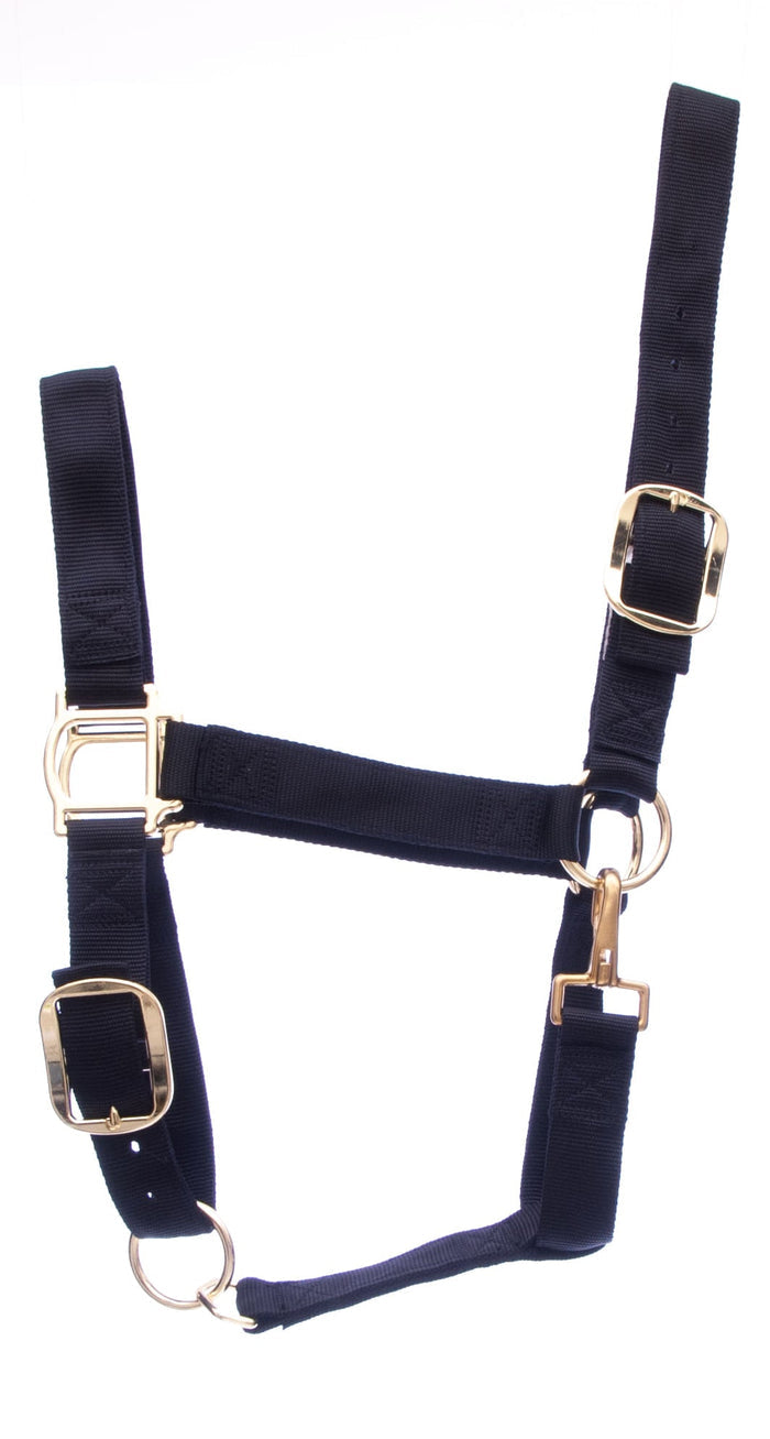 Weaver Draft Horse Nylon Halter, Regular (1400 - 1700 lb) – Adjustable Chin & Throat Snap - W25B - Black - 1