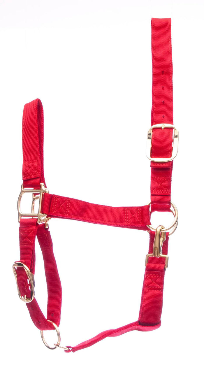 Weaver Draft Horse Nylon Halter, Regular (1400 - 1700 lb) – Adjustable Chin & Throat Snap - W25C - Red - 2