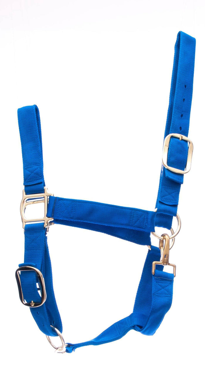 Weaver Draft Horse Nylon Halter, Regular (1400 - 1700 lb) – Adjustable Chin & Throat Snap - W25D - Blue - 3