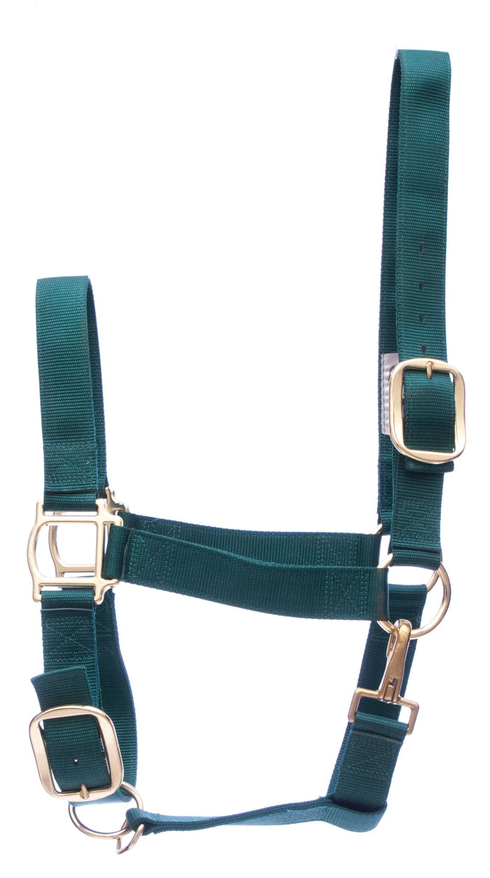 Weaver Draft Horse Nylon Halter, Regular (1400 - 1700 lb) – Adjustable Chin & Throat Snap - W25D - Blue - 5