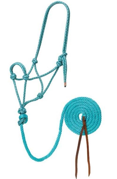 Turquoise/Brown/Tan / Horse