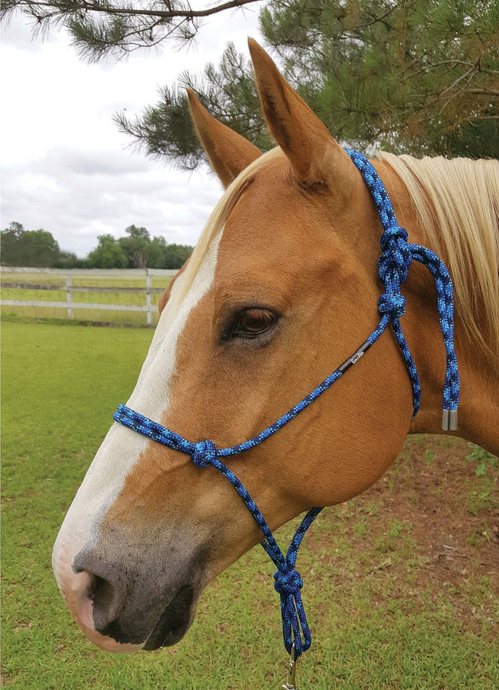 Weaver Silvertip Rope Halter, Average - W211B - Black - 3