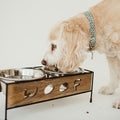 Wooden Woof Cut Dog Diner - ZO137 - pint - 1
