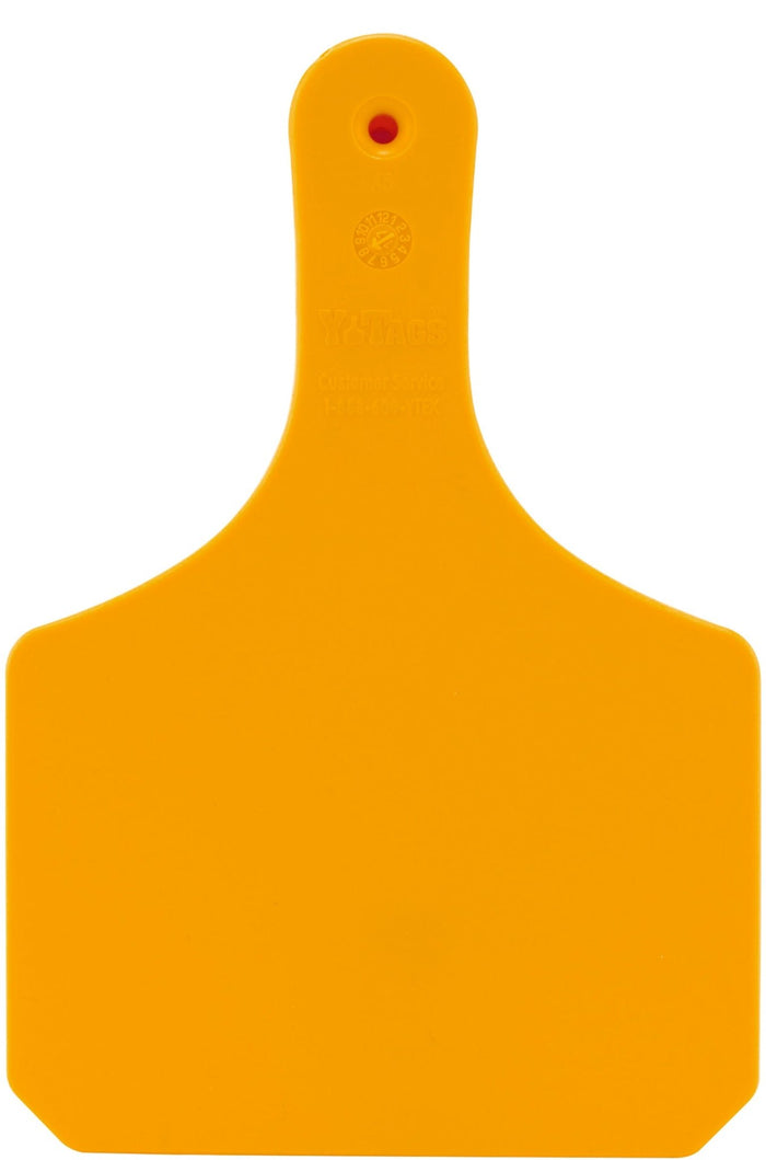 Y - Tag Blank 1 - Piece Ear Tags, 25 ct - XUBC - Cow - Orange - 2